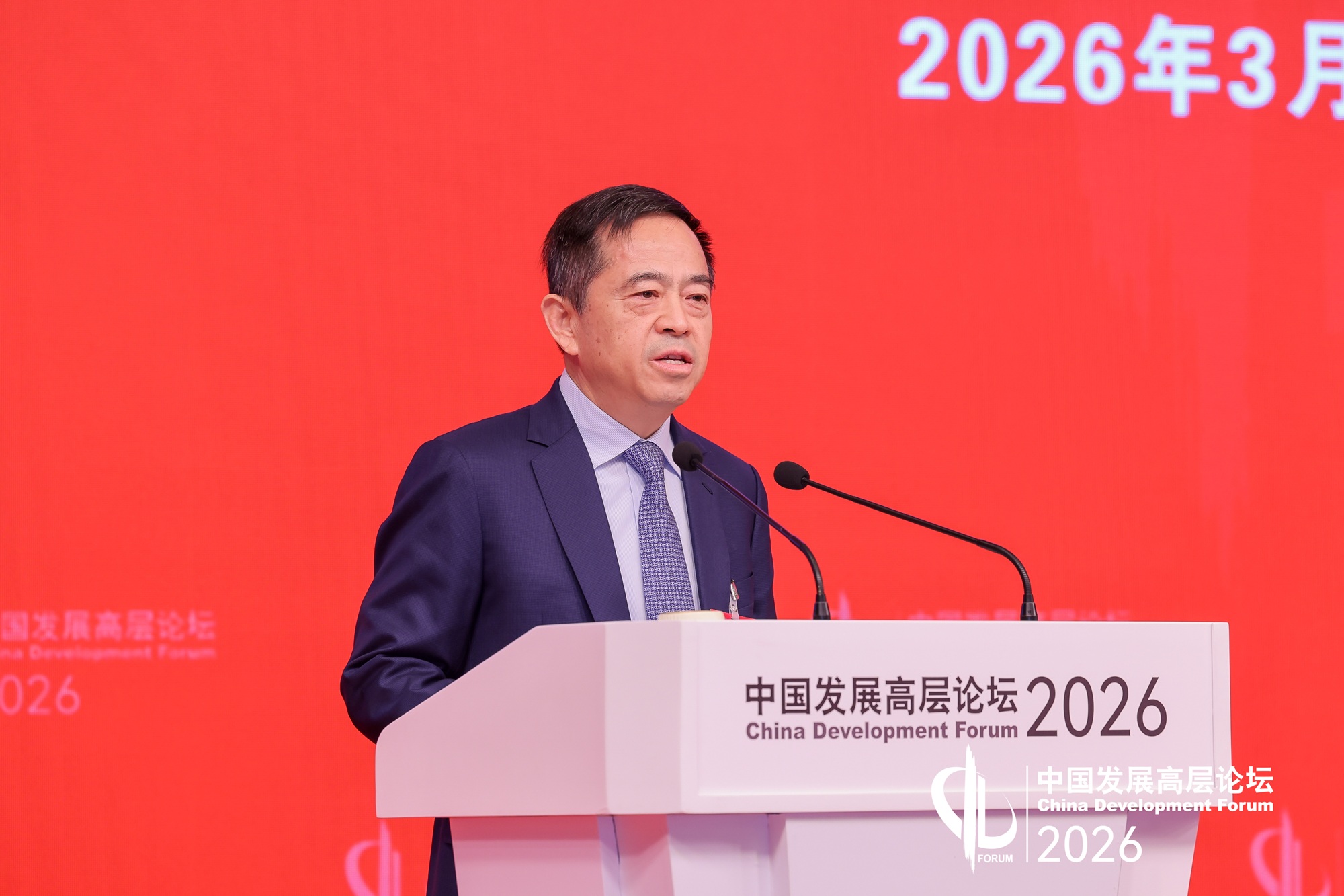 向文波在中国发展高层论坛发言